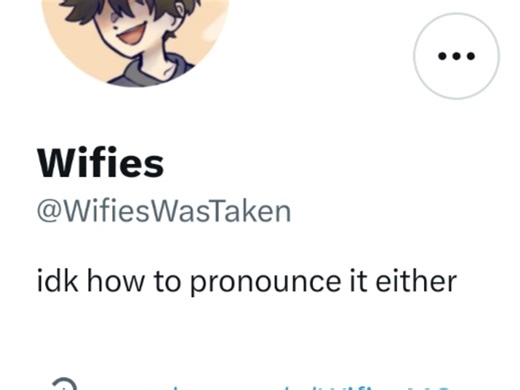 【熟切/wifies】无线网小伙名字的一百种读法