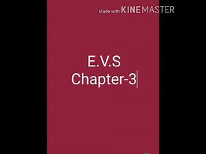 EVS Chapter 3 Class I