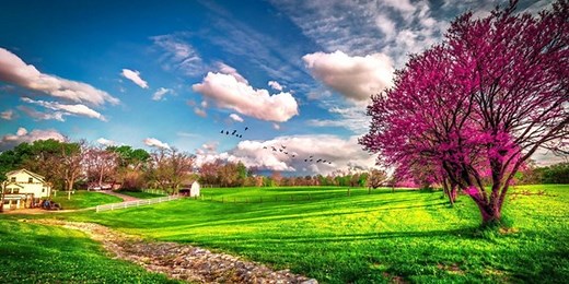 When is Spring | Days Until Spring