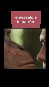 158K views · 1.2K reactions |  | Los memes de PINSA | Facebook