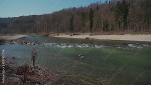 Beautiful view of Isar River on sunny spring day near Munich. Nature, forest and mountain river Isar in Germany. Fluss Izar. landscape by river Isar by Munchen. Wilderness and clear mountain river.