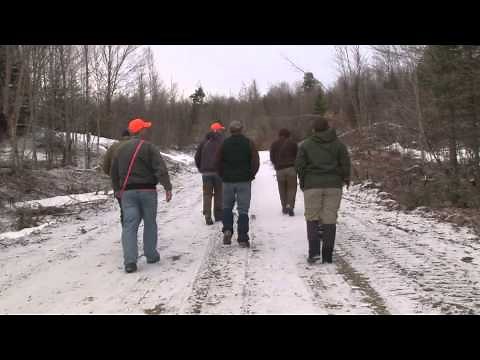 Pointing Dog Field Trial