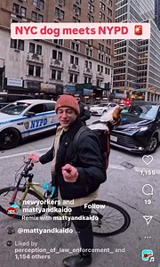 @mattyandkaido @newyorkers | Thank You NYPD