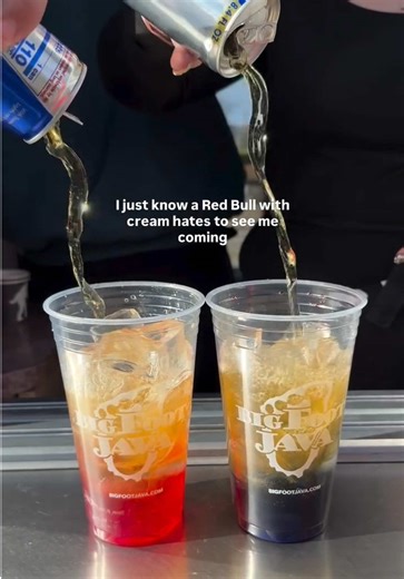 Discover Bigfoot Java in Washington!