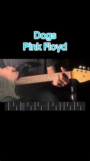 Master the Dogs Guitar Cover by Pink Floyd