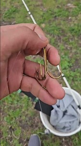 How to Snag Carp #snagging #carp #fishingtips #fishing #outdoorsman