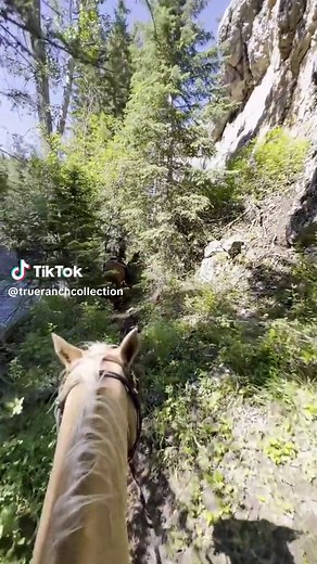 Oh the places you’ll see with us at the Circle Bar! Your Montana dude ranch vacation is waiting. Join us this summer to explore the mountains, rivers and meadows of your dreams. #Circlebarguestranch #circlebarranch #montana #montanaduderanch #duderanch #guestranch #duderanchvacation #centralmontana #montanamoment #visitmontana