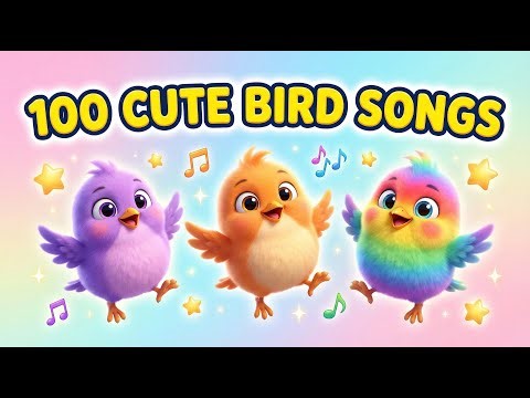 100 Little Cute Bird Dance Songs | Fun Cute Baby Bird Animation for Kids | Nursery rhymes