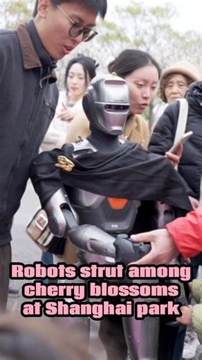 Visitors to Shanghai's Gucun Park were recently treated to cherry blossoms and a robot catwalk show. The scene made for a stunning blend of nature and technology. #Shanghai #AI #robot #CherryBlossoms | China Xinhua News