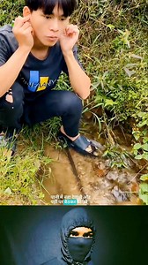 He went to see the firecracker again #firecracker #reels #viral #trending | FactPulse