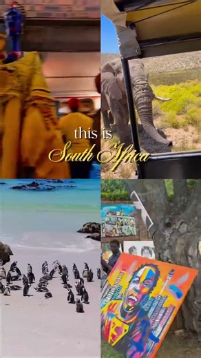 Explore South Africa's Most Iconic Cities. #southafrica #capetown #joburg #travel
