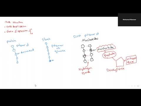 Chapter 7 Part 1 OCT 2025