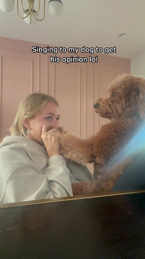 @joshuatbassett “set me free” cover. I am obsessed with this song and I think Banks likes it too ❤️🙈✨ #singing #setmefree #joshuatbassett