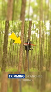 The Best Automatic Tree Pruning Device Ever The best automatic tree pruning device ever delivers efficiency, precision, and advanced outdoor technology. This innovation attracts strong interest in landscaping, tree care services, gardening equipment, and smart tools. Perfect for high-engagement Facebook content, it drives clicks, shares, and watch time while appealing to premium advertisers in home improvement, agriculture, and professional services markets. Credits: GuiltyofTreeson / YT, advali