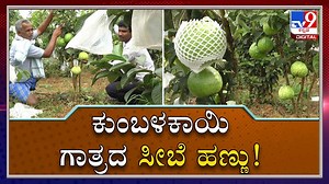 300K views · 4.6K reactions | Improved Cultivation Techniques In...