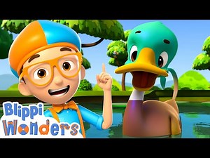 Sink or Float With Ducks! - Blippi Wonders | Blippi Cartoon | Cartoons For Kids
