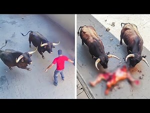 CCTV 🦁🔥 Most Brutal Wild Animal Attacks Caught on Camera