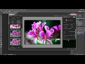 HDR Efex Pro Tutorial