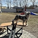 LuxCraft Poly Octagon Picnic Table - Outside Table for Adults & Kids, Seats 8, UV Resistant and Heavy Duty, Durable Outdoor Furniture, Amish Made in USA (Blue & White)