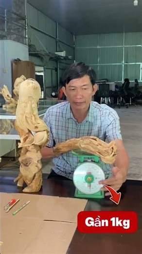 Extremely rare Xao Tam Phan core
