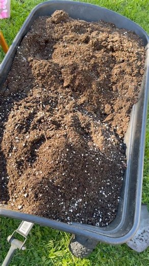 FOXFARM vs PROMIX -Soil Texture Comparison #gardening #containergardening zone8b