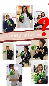 258K views · 11K reactions | Jim ဒီနေ့ ဆိုင်ထဲက ဒီဇိုင်နာတွေကို...