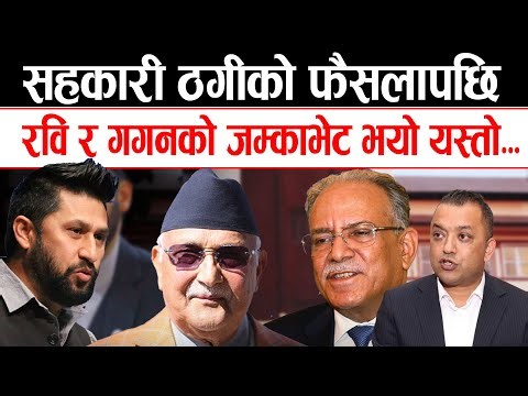 सहकारी ठगीमा रबि निर्दोस भएपछी हंगामा भयो यस्तो, Rabi Lamichhane, Sahakari kanda