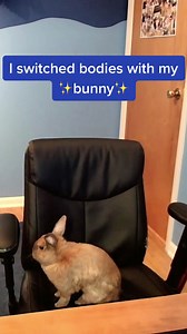 I became a rabbit! #twitch #minecraft #bunny #streamer #gaming #cute