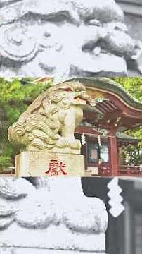 Por qué Japón es el destino de emigración más difícil para un latino