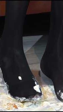 Black Sheer Stocking Legs Close-Up | Foot Muse Shorts