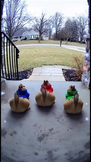 Alvin and the Chipmunks: Chill Rap Vibes with ilyTOMMY