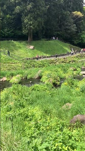 白糸の滝｜日本の滝百選・白糸の絶景｜Shiraito Falls