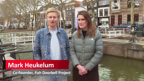 Fish Get Help From People Who Press a Doorbell to Open Canal Gate