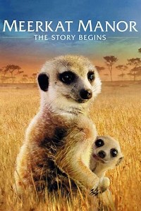 Meerkat Manor: The Story Begins (2008) - Movie
