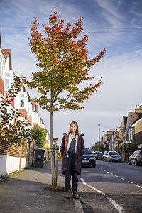 Let's fill Haringey with trees - Trees for Streets