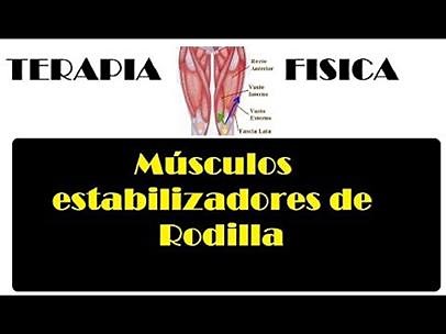 32K views · 240 reactions | Articulaciones de la rodilla Articulación...