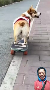 This is wahala dog😂😂 | Emma StOne