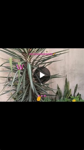 #thewauldenbuddies #childhoodjoy #learningthroughplay #preschoolmoments #happykids | The Waulden Buddies
