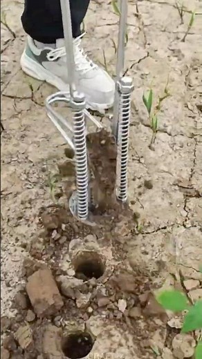 Efficient Seedling Planting: Using a Manual Dibbler