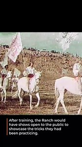 Along the Niobrara River in Naper, Nebraska was the White Horse Ranch. In 1937, Cal and Ruth Thompson began a horse training/riding school for children on the ranch. These students would then showcase what they’d learned to the public, which lead to the touring White Horse Troupe. After Cal’s death in 1963 and Ruth's in 1990, the ranch was left to her sister Ruby Shumaker. When Ruby died in 2000, it was passed on to her children, Betty Whipple and Bob Shumaker. It was designated as a National Hi