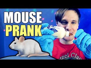 Angry Dad Double Mouse Prank