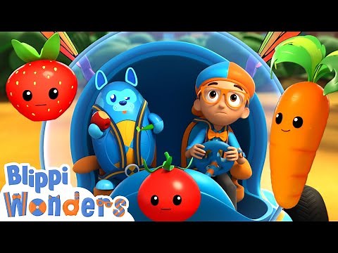 Fruit or Vegetables? | Blippi Wonders | Learning Videos For Kids | Education Show For Toddlers