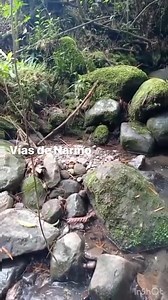 Un habitante del sector, el día de hoy viernes 13 se dio a la difícil y peligrosa tarea de visitar algunas de las veredas afectadas por el movimiento en masa del sitio de la calamidad en Rosas Cauca, nos comparte estas imágenes donde se puede evidenciar lo que sucedió y los que está por venir 😞 | Vias de Nariño