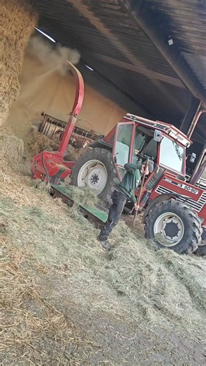 A tractor-powered hay blower chops dry grass into fine pieces, shooting it high into storage | Melo Studio