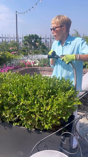 847K views · 27K reactions | Here’s the best question to ask in your next interview! Oh and don’t mind my hose 藍華‍ #garden #gardening #interview #interviewtips #interviewquestions #job #jobhunting #jobsearch | Barbara Corcoran | Facebook