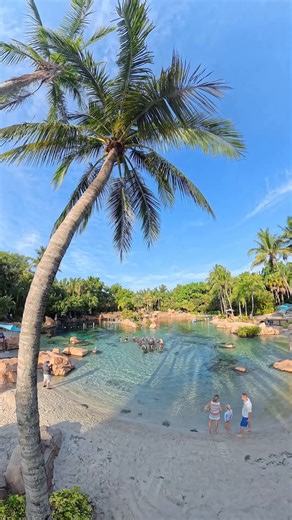 The beauty of #DiscoveryCove? It's in every detail. 🌺 One moment you’re floating through Wind-Away River, the next you’re face-to-face with thousands of fish in The Grand Reef. Every second feels like a dream here. 🌴 | Discovery Cove