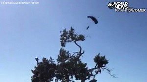 CRASH LANDING: A skydiving Santa carrying an Elf of the Shelf for a little girl crashed into a tree during his landing at a Christmas charity event in Gulfport, Florida, stunning the crowd and breaking his leg in a scary caught on camera moment. He is expected to make a full recovery. http://abcn.ws/2k0itwy | ABC World News Tonight with David Muir