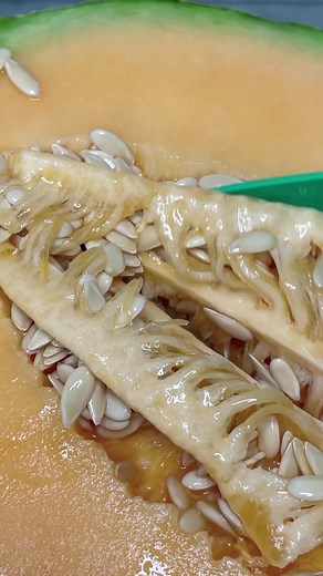 How to Grow Cantaloupe: Tips, Tricks, and Plant Hacks