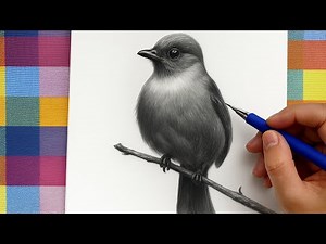 How to Draw a Realistic Sparrow | Step by Step Pencil Drawing Tutorial for Beginners/ bird drawing
