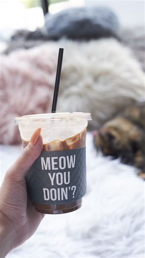 Crumbs & Whiskers on Instagram: "Meet Flame — the 8-month-old Siamese kitten who’s equal parts playful, affectionate, and completely irresistible! Flame is the ultimate cuddle bug, following you around with his big, loving eyes until you give in and scoop him up for scratches and snuggles. He’s the kind of cat who makes every day a little brighter. We truly believe everyone needs a Flame in their life… maybe he’s meant to be yours? Come meet this special boy today! ADOPTABLE IN LA📍 #Adop